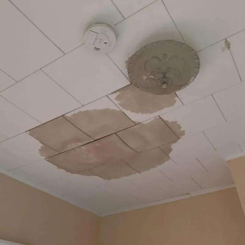 Ceiling Water Damage Repair in Lutz, FL